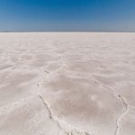 Solurile saline